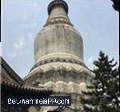 郑先生